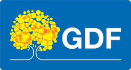 Marca do GDF (Governo do Distrito Federal)
